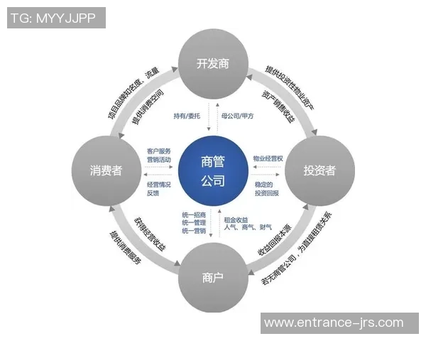 北京篮球队运营革新探索：从管理模式到球迷体验的全方位升级